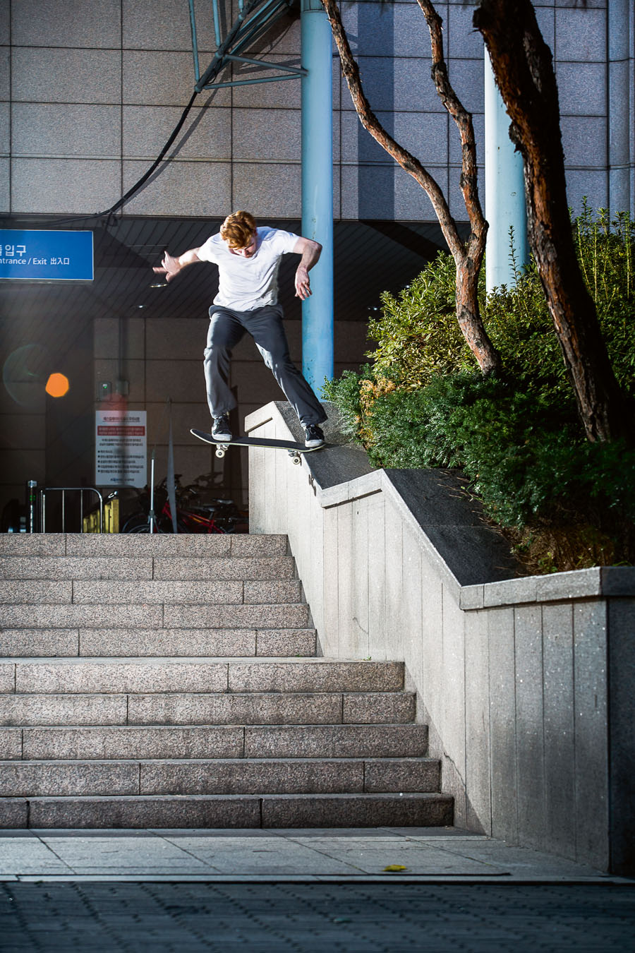 wieger van wageningen nike sb