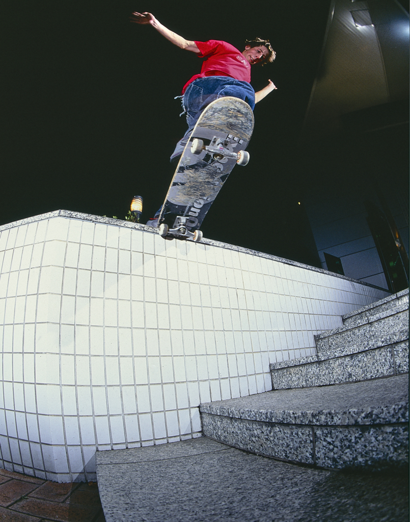 janoski skate